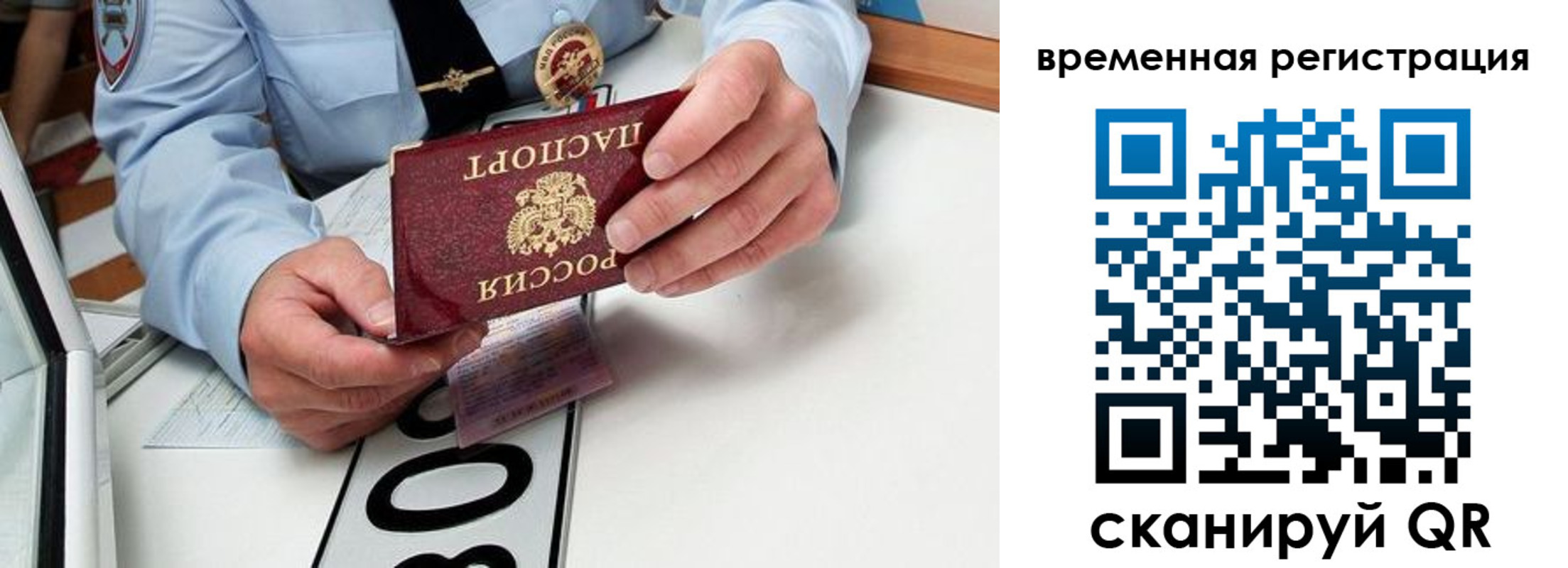 прописка гарантия в Гусеве